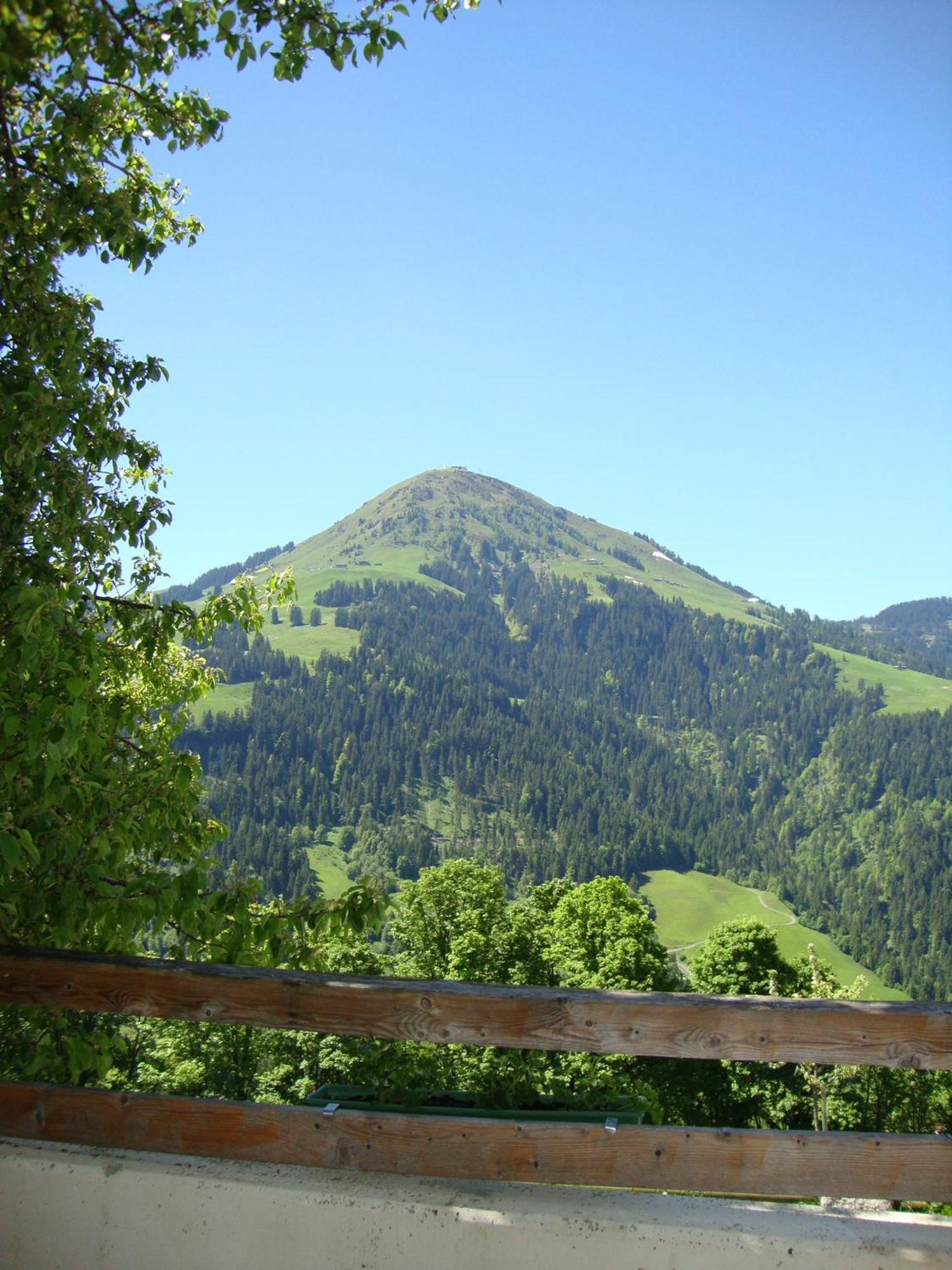 Alpengasthof Gruberhof Söll Esterno foto